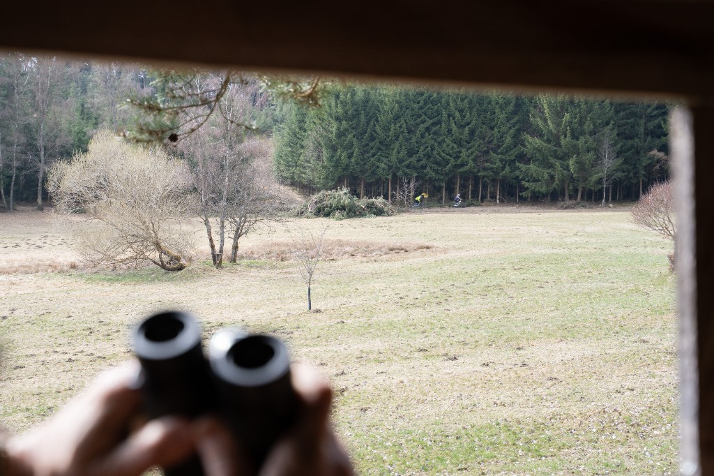 Lookout view over an active trail section