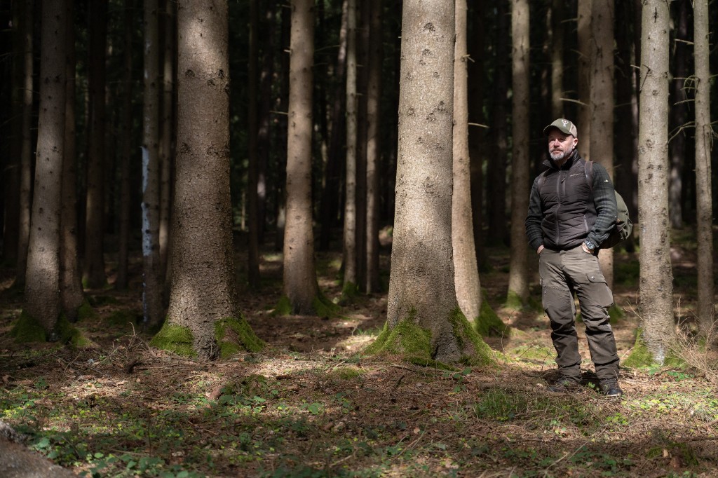 Forestry stakeholder context and dialogue