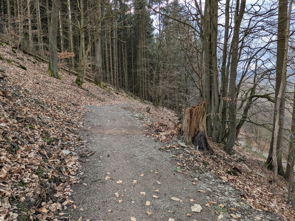 Forest path with an invisibly installed trailpulse counting mat